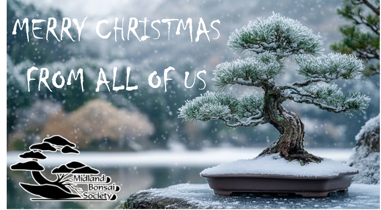 MBS Digital Christmas Card 2025