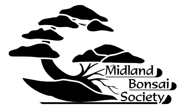 MBS - Midland Bonsai Society (MBS) Logo - Black and White (B&W)