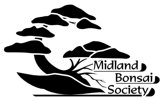 MBS - Midland Bonsai Society (MBS) Logo - Black and White (B&W)